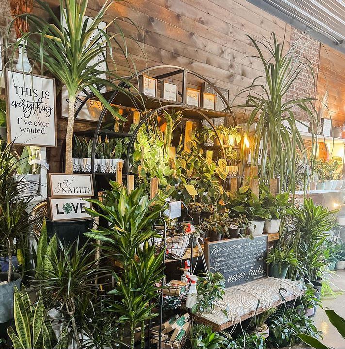 Petals By Peyton La Salle, IL