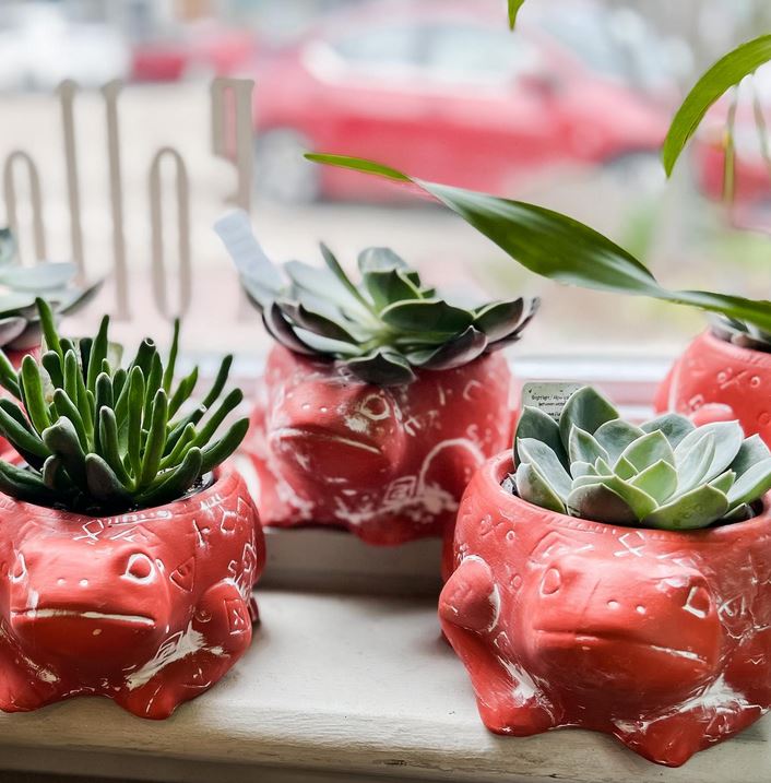 Petals By Peyton La Salle, IL