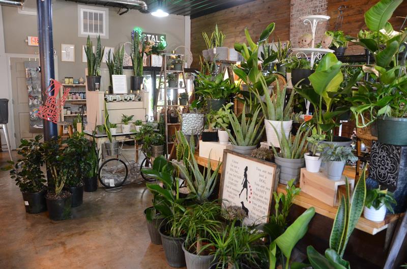 Petals By Peyton La Salle, IL