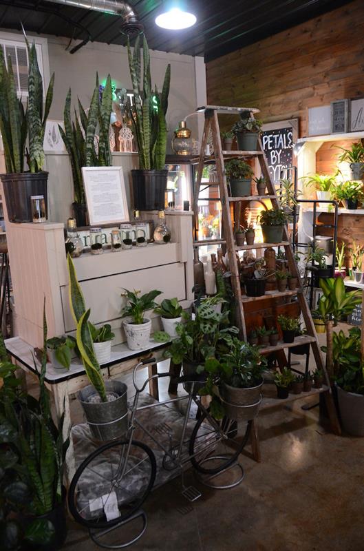 Petals By Peyton La Salle, IL