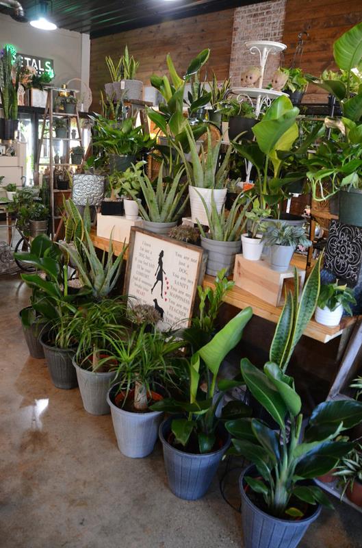 Petals By Peyton La Salle, IL