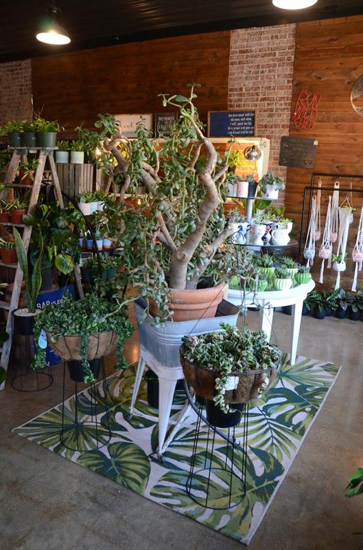 Petals By Peyton La Salle, IL