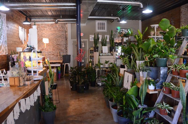 Petals By Peyton La Salle, IL