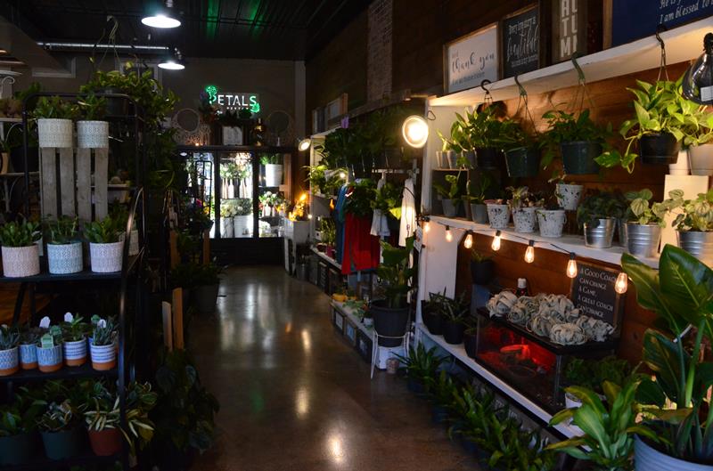 Petals By Peyton La Salle, IL