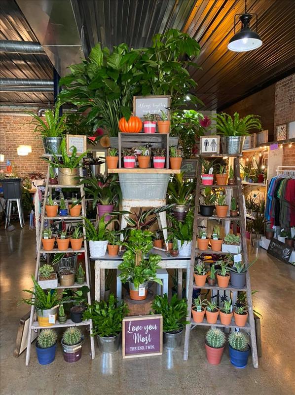 Petals By Peyton La Salle, IL